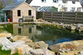 build pond oxfordshire 1