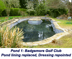 rebuild pond oxfordshire 9