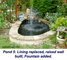 rebuild pond oxfordshire 15