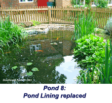 rebuild pond oxfordshire 18