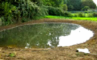 oxford pond design 6