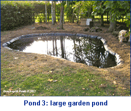 ponds oxfordshire 3