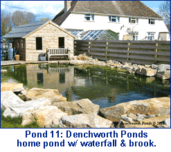 ponds oxfordshire 11