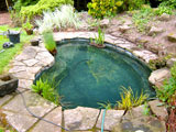 pond cleaning oxfordshire 12