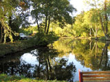 pond cleaning oxfordshire 4