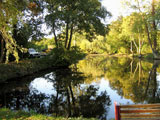 dredge pond oxfordshire 6