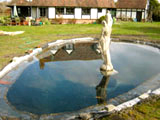 build pond oxfordshire 9