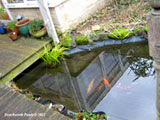 build garden pond oxfordshire 1