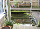 build garden ponds oxford 2