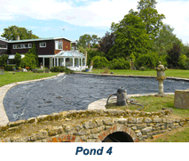 garden pond cleaning 4