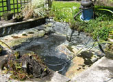 pond cleaning oxfordshire 4