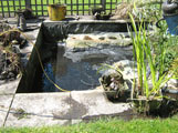 pond cleaning oxfordshire 5