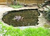pond cleaning oxfordshire 14