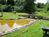 clean garden pond oxford 3