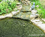 pond repair oxfordshire 37