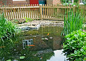 repair pond in oxford