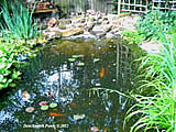 pond repairs in oxford 