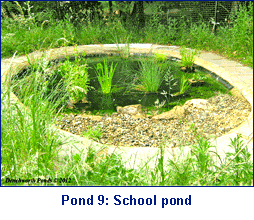 ponds oxfordshire 9